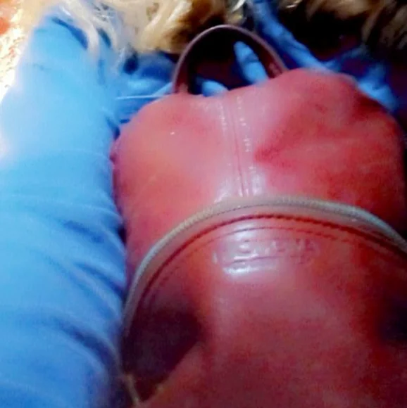 Backpack Purse!! - Picture 2 of 3